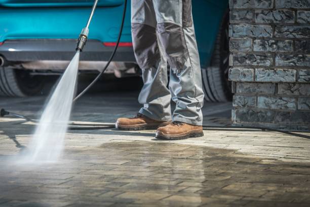 Trusted Lynwood, IL Pressure Washing Services Experts