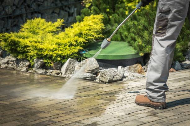  Lynwood, IL Pressure Washing Pros