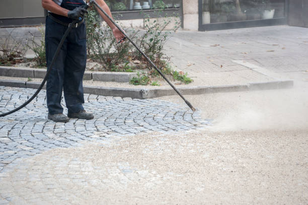 Best Animal Enclosure Cleaning  in Lynwood, IL