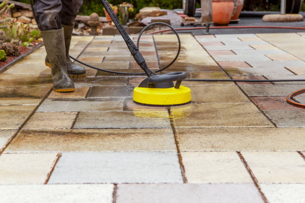 Best Oil Spill Cleanup  in Lynwood, IL