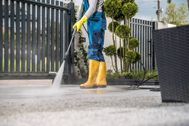Best Dumpster Area Cleaning  in Lynwood, IL